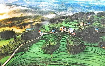 2022Ҭ̿aSµ@ȪˮĂ?