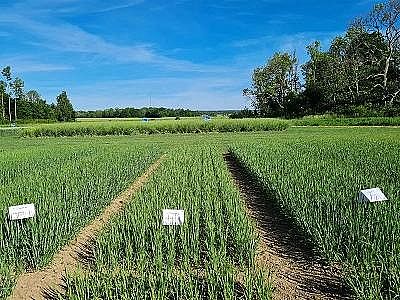 2022c̼ԴaSһՏˮзxҺȻ@ô;!