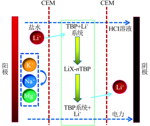 2022年半軟性填料廠家高鹽工業(yè)廢水資源化利用領(lǐng)域電滲析技術(shù)的研究進(jìn)展