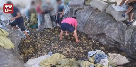 2022MϏSҿ_ȳωɭhͲɭhĶĬ