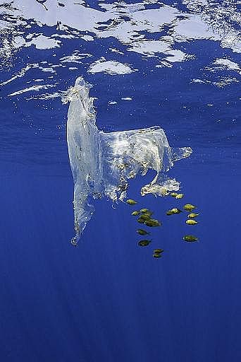 2022年液面覆蓋球廠家這個“垃圾大國”,真是讓我開眼了!