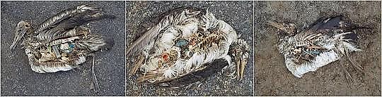 2022年液面覆蓋球廠家這個“垃圾大國”,真是讓我開眼了!