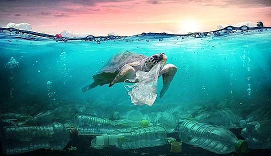 2022年液面覆蓋球廠家這個“垃圾大國”,真是讓我開眼了!