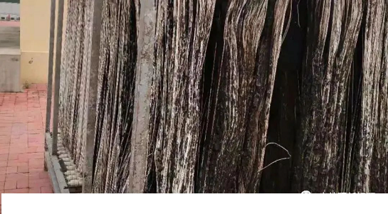 2022ZʯVϏSҡ؛MBRĤ۶ԭ\й?