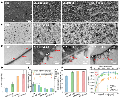 202213XӺYSҾгx || MOFƂ䳬PA{Ĥ