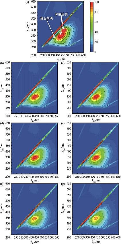 2022年生物流化床填料MBBR價格電化學紫外耦合膜過濾深度處理化工廢水中水研究
