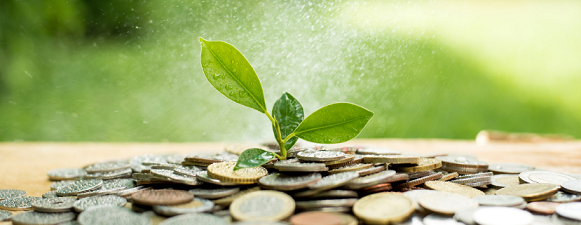 2022xӾ۱ϩHPAMSҚȫˮ̎ЈęC