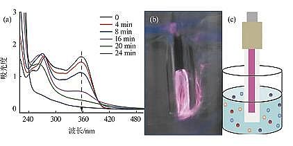 cc̼ԴaSҚҺxwˮĭhȥCо