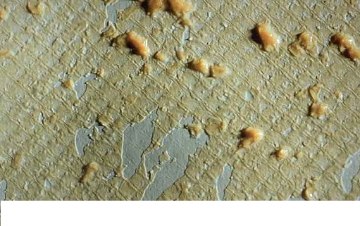 20224AӺYr@ƪСĸV㣬ɶķB͸Ó}a(chn)ˮ