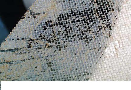 20224AӺYr@ƪСĸV㣬ɶķB͸Ó}a(chn)ˮ