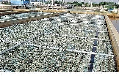 Ʒ|(zh)͚SˮS(bio)RÓ׳}ô?@N!