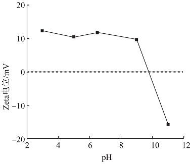 XFۺȻXFPAFCaSҽЙCǼܲZIF‒67ĭhxо