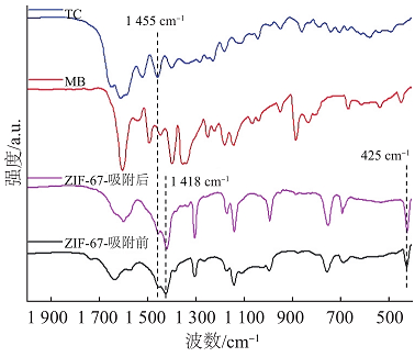 XFۺȻXFPAFCaSҽЙCǼܲZIF‒67ĭhxо