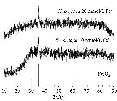 Ʒ|ĩ۠̿aSVƂ{F䌦׻{