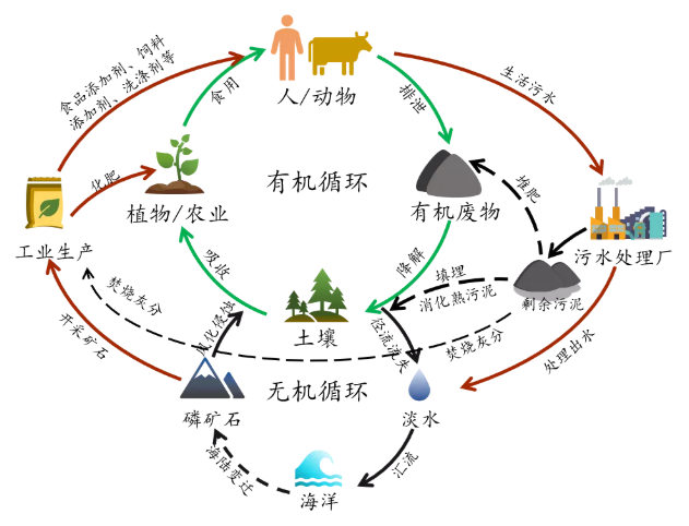 2022ꃞ|ˮ̎aSҏˮл