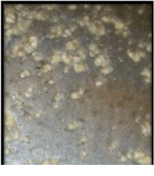 ȫ3AӺYaSѭhˮϵyе\gָ