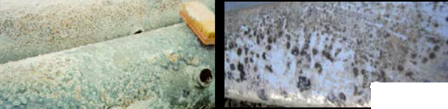 ȫ3AӺYaSѭhˮϵyе\gָ