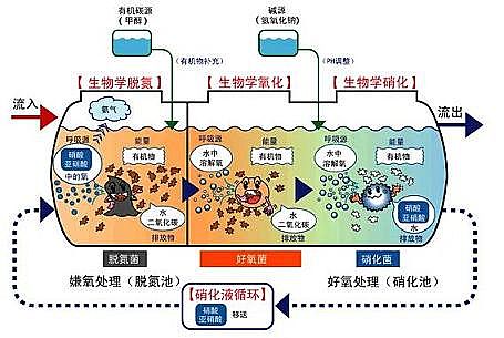 ۺFSPFSׄSͶķNˎ,׌һ(g)Óϵy(tng)