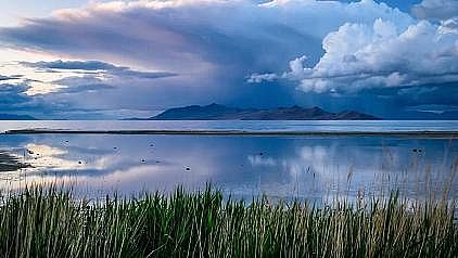 多功能磁鐵礦濾料生產廠家【觀點】為何不應盲目提高污水處理廠出水標準?