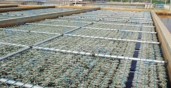 精良堿式氯化鋁廠家污水的3個等級處理,工藝內容大全